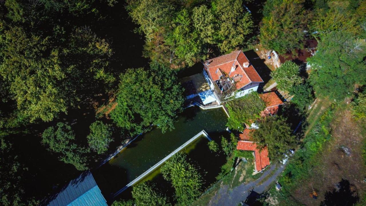 Рибарник Forest Мagic Topolitsa Kültér fotó