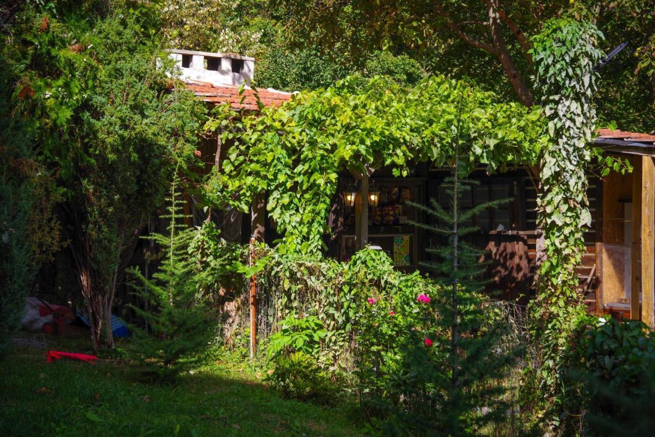 Рибарник Forest Мagic Topolitsa Kültér fotó
