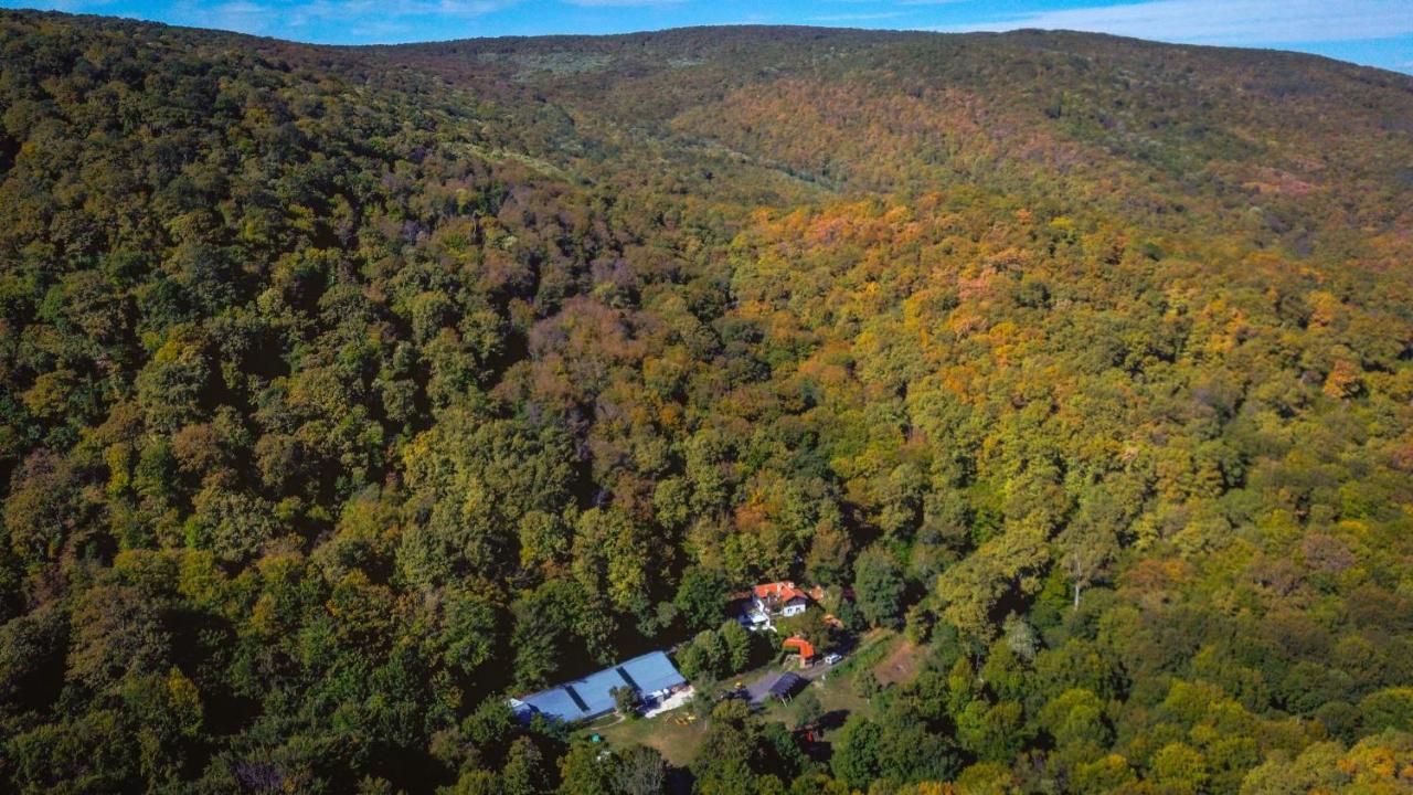 Рибарник Forest Мagic Topolitsa Kültér fotó